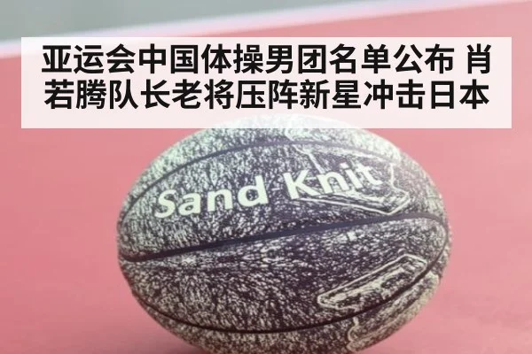 亚运会中国体操男团名单公布 肖若腾队长老将压阵新星冲击日本